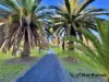 353 Stabiles Road, Glen Aplin, Qld 4381-Image