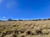 353 Stabiles Road, Glen Aplin, Qld 4381-Image