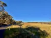 353 Stabiles Road, Glen Aplin, Qld 4381-Image
