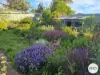 3535 Creswick-Newstead Road, Smeaton, Vic 3364-Image