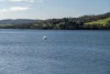 354 Deviot Road, Deviot, Tas 7275-Image