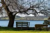 354 Deviot Road, Deviot, Tas 7275-Image