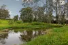 3545 Mary Valley Road, Imbil, Qld 4570-Image