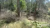 355 Hillsdale, Kingaroy, Qld 4610-Image