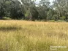 355 Hillsdale, Kingaroy, Qld 4610-Image