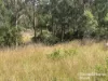355 Hillsdale, Kingaroy, Qld 4610-Image