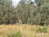 355 Hillsdale, Kingaroy, Qld 4610-Image
