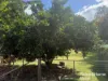 355 Hillsdale, Kingaroy, Qld 4610-Image