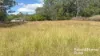 355 Hillsdale, Kingaroy, Qld 4610-Image