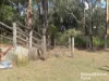 355 Hillsdale, Kingaroy, Qld 4610-Image