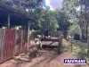 355 Hillsdale road, Booie, Qld 4610-Image