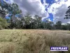 355 Hillsdale road, Booie, Qld 4610-Image