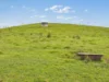 3558 Maroondah Highway, Acheron, Vic 3714-Image