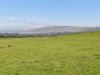 3558 Maroondah Highway, Acheron, Vic 3714-Image