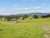 3558 Maroondah Highway, Acheron, Vic 3714-Image