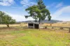 356 Back-Mount Lonarch, Mount Lonarch, Vic 3468-Image
