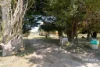 356 Noalimba Avenue, Kentucky, NSW 2354-Image