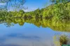3561 Whittlesea Yea Road, Flowerdale, Vic 3717-Image