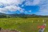357 Barrington West Road, Barrington, NSW 2422-Image