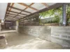 357 Lawrence Avenue, Frenchville, Qld 4701-Image