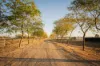 358 Dargal Road, Roma, Qld 4455-Image