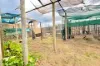 358 Denial Bay Road, Ceduna, SA 5690-Image
