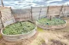 358 Denial Bay Road, Ceduna, SA 5690-Image