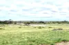 358 Denial Bay Road, Ceduna, SA 5690-Image
