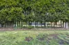 3587 Katamatite-Shepparton Main Road, Congupna, Vic 3633-Image