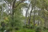 35A Camfield Road, Darlington, WA 6070-Image