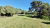 35A Park Avenue, Streaky Bay, SA 5680-Image