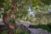 36 Alexander Avenue, Upwey, Vic 3158-Image