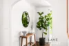 36 Alister Street, Shortland, NSW 2307-Image