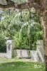 36 Armagh Parade, Thirroul, NSW 2515-Image