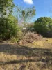 36 Arthur Street, Aitkenvale, Qld 4814-Image