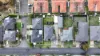 36 Ascot Gardens Drive, Delacombe, Vic 3356-Image