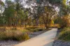 36 Badcoe Avenue, Wodonga, Vic 3690-Image