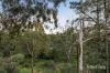 36 Bannerman Avenue, Greensborough, Vic 3088-Image