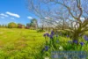 36 Bramley Place, Kangaroo Gully, WA 6255-Image