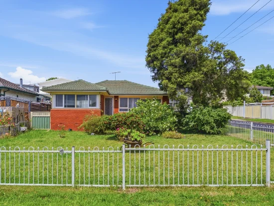 36 Brenda St, Ingleburn, NSW 2565
