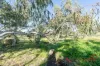 36 Brook Street, Northampton, WA 6535-Image