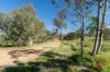 36 Brook Street, Northampton, WA 6535-Image