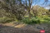 36 Camden Street, Binalong, NSW 2584-Image