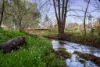 36 Clarendon Avenue, Wodonga, Vic 3690-Image