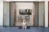 36 Cooleroo Crescent, Southport, Qld 4215-Image