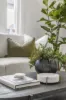 36 Council Street, Cooks Hill, NSW 2300-Image