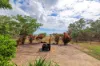 36 Cox Drive, Wagait Beach, NT 0822-Image