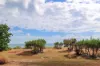 36 Cox Drive, Wagait Beach, NT 0822-Image