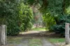 36 Craigie Street, Yea, Vic 3717-Image