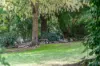 36 Craigie Street, Yea, Vic 3717-Image